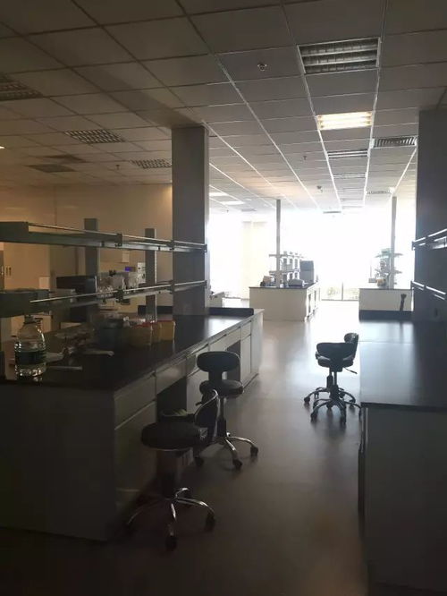 從戀愛到二胎都能測，消費級基因檢測靠譜嗎？