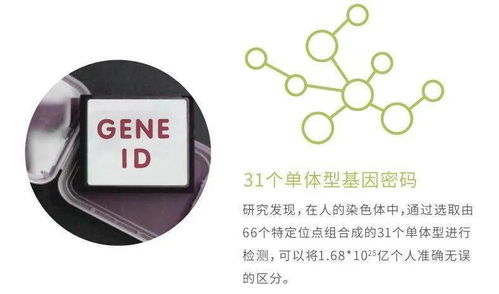 華大基因安馨可基因檢測系列產品全新上市，開啟精準健康管理新時代