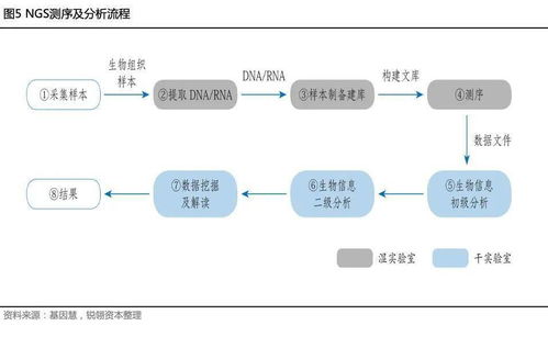 干貨丨遺傳病基因檢測行業(yè)研究報(bào)告