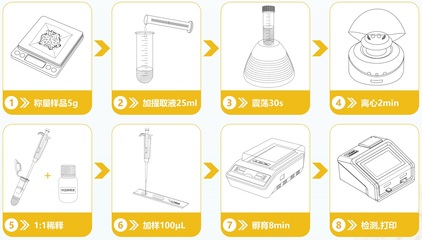 轉基因快速檢測 守護糧食安全的新興科技