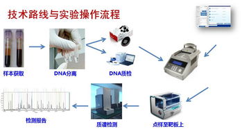 淺談腫瘤基因檢測 精準(zhǔn)醫(yī)療時(shí)代的核心鑰匙