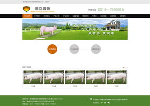 博雅農(nóng)牧官網(wǎng)設(shè)計(jì)制作 打造綠色農(nóng)業(yè)數(shù)字化門戶的專業(yè)實(shí)踐